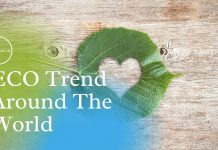 business-Ideas-eco-trends