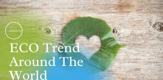 business-Ideas-eco-trends