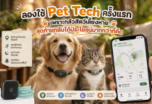 ลองใช้ Pet Tech ครั้งแรก เพราะกลัวสัตว์เลี้ยงหาย สุดท้ายกลับได้ประโยชน์มากกว่าที่คิด